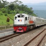 IMG-20220807-WA0015(1)
