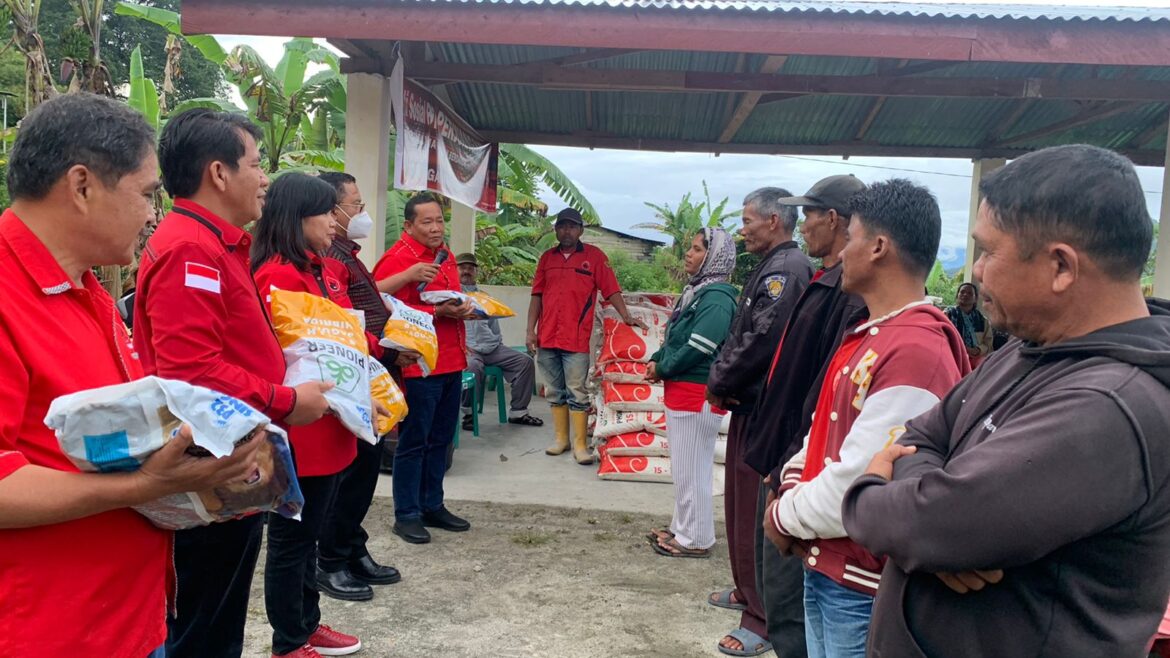 Ketua DPC PDI Perjuangan Toba Mangatas Silaen dan Bupati Toba Poltak Sitorus bagikan 5 Ton Pupuk Phonska.