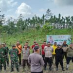 Melakukan penanaman bersama untuk penyelamatan lingkungan yang bertempat di petak 14K luas 12,6 ha Resor Pemangkuan Hutan (RPH). 11dcd998-3c81-46de-bb4c-e0be89f4e61b