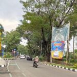 f9e95568-74e0-4b32-8cb3-9f95fed2fd00