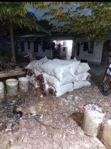 Kulit kelapa muda