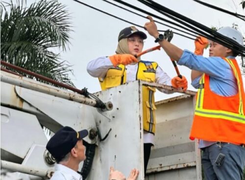 WAKIL BUPATI KABUPATEN TANGERANG TURUN TANGAN TERTIBKAN KABEL OPTIK SEMBRAWUT, APAKAH ANAK BUAHNYA GA BECUS HARUS WAKIL BUPATI YANG TURUN LANGSUNG?
